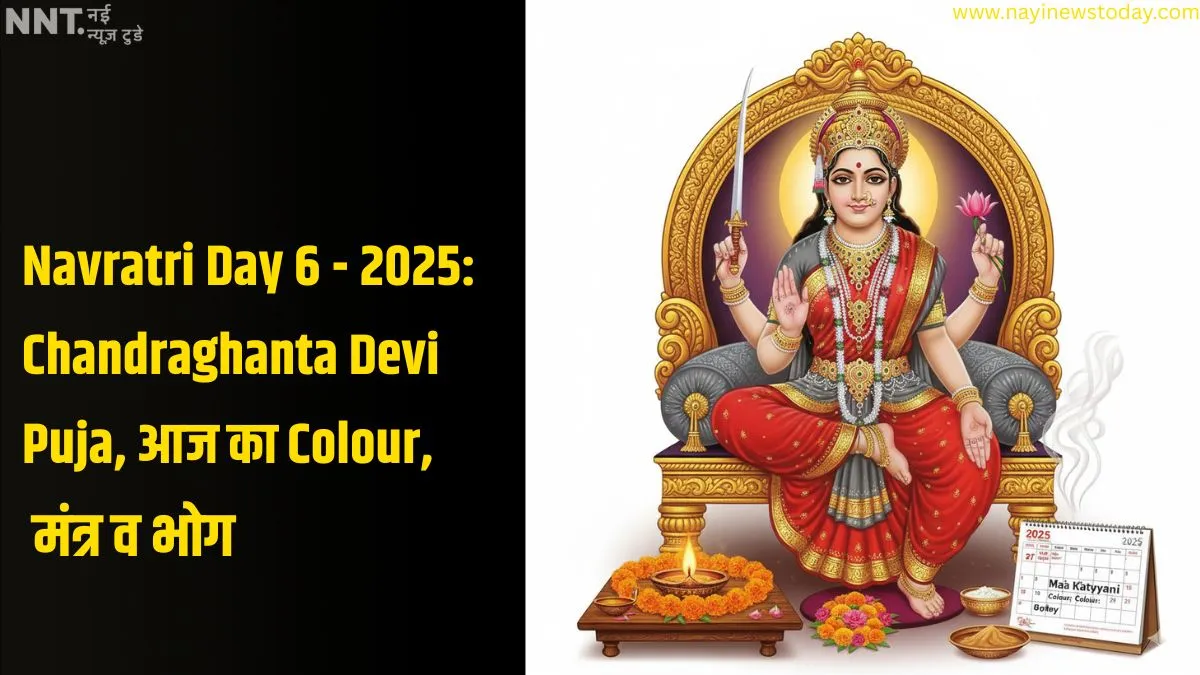 Navratri Day 6 Grey colour with Maa Katyayani puja 2025