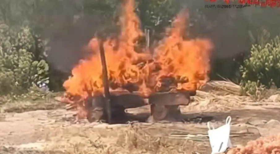 वायरल वीडियो श्मशान घाट, cremation ground dance viral video, social media viral video India